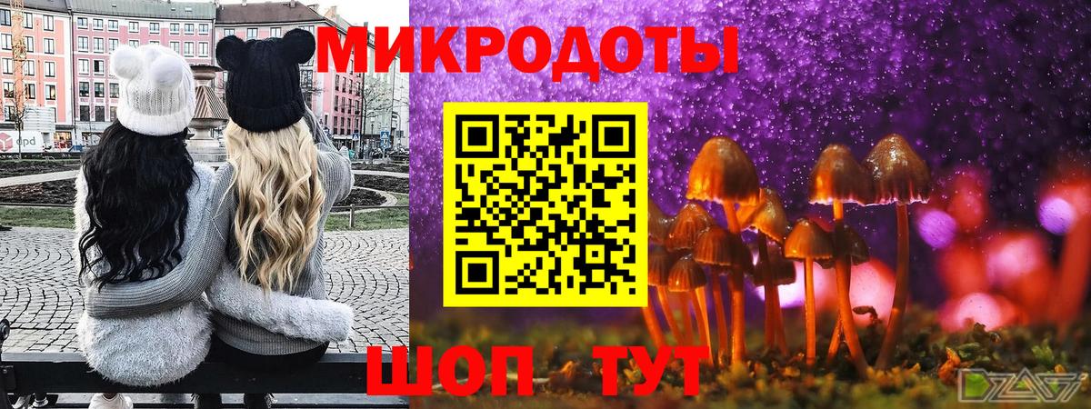 Псилоцибиновые грибы MAGIC MUSHROOMS  Псилоцибиновые грибы Cubensis  Клинцы  Вход с VPN 